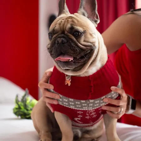 아파트호텔 Citizen 3*