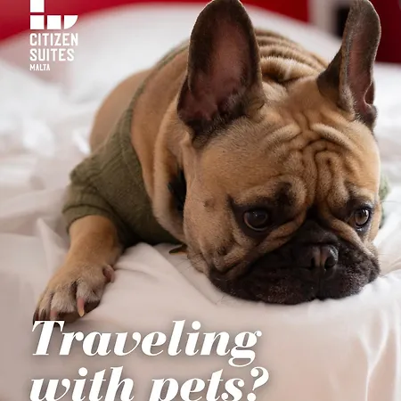 Citizen 3* 슬리에마