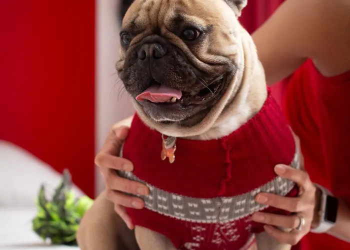 Ξενοδοχείο με διαμερίσματα Citizen 3*